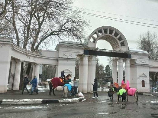 В Иванове лошадники эксплуатируют труд детей