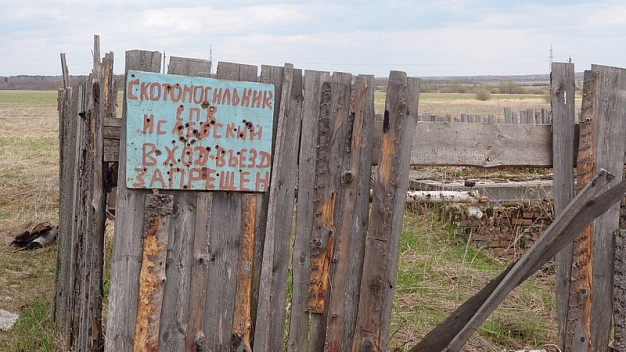  У общедоступного скотомогильника в Ивановской области нашелся хозяин 
