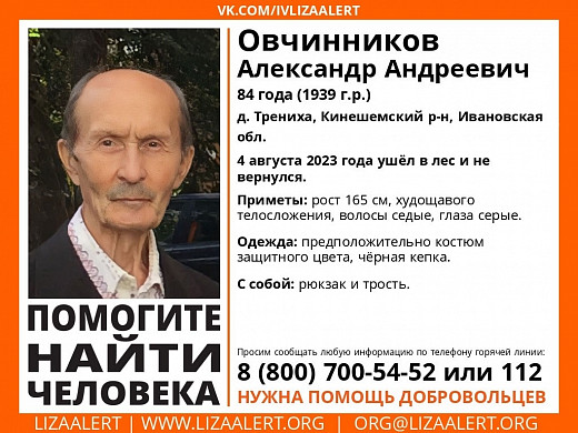 В Ивановской области с 4 августа не могут найти пропавшего в лесу дедушку