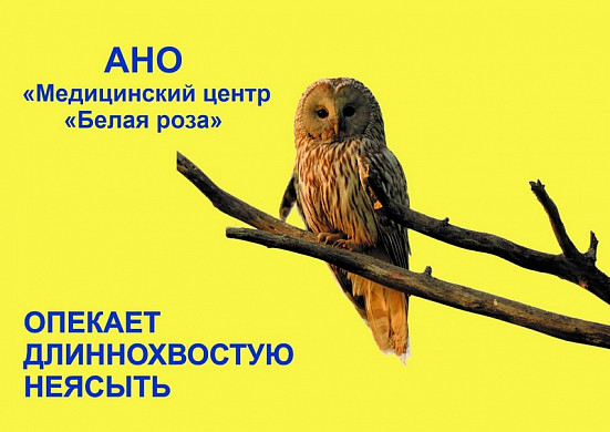  У неясыти из ивановского зоопарка появился опекун 