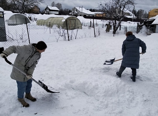 Приют «ЗОО37» просит помочь с вывозом снега