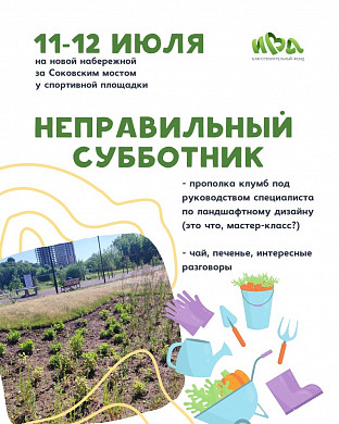В Иванове пройдет «неправильный» субботник