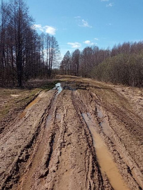 В деревне Гари нет дорог