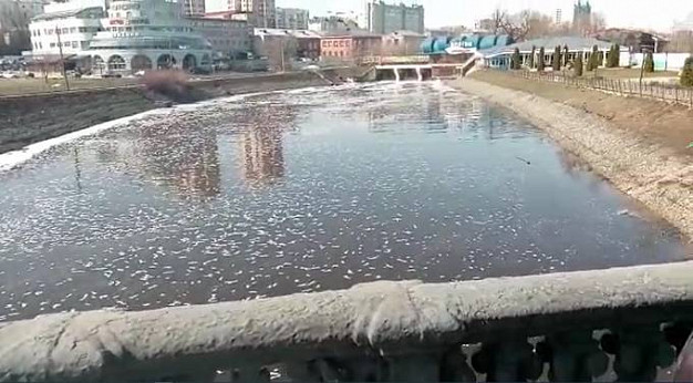 Река Уводь снова покрылась мыльной пеной
