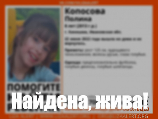  Пропавшие в Ивановской области дети нашлись 