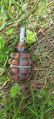 В деревне Елхово Ивановской области нашли гранату Ф-1