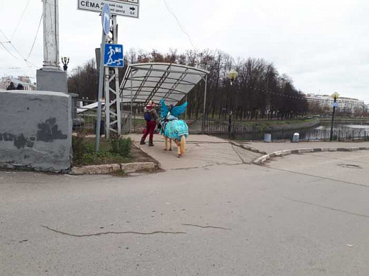 В Иванове лошадники эксплуатируют труд детей