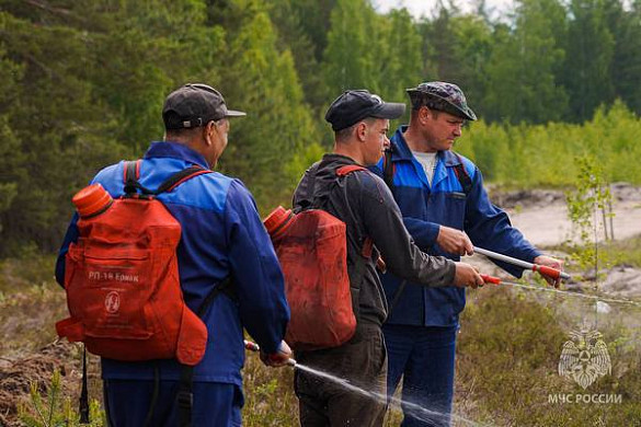  В Южском районе отрабатывали действия при лесном пожаре 