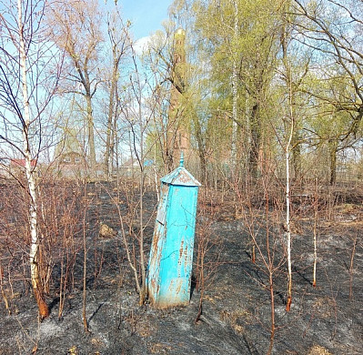  В Ивановской области неизвестные подожгли кладбище 