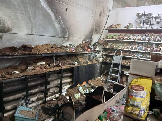 В Ивановской области произошел пожар в зоомагазине