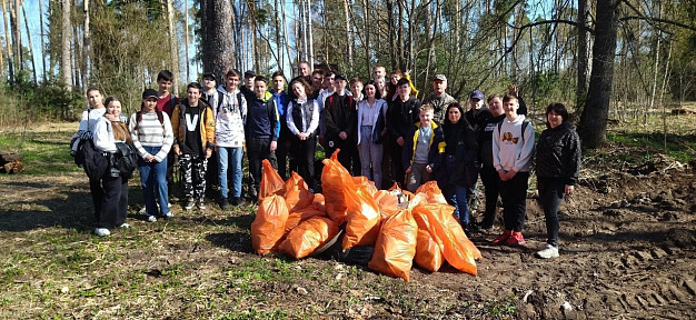 Балинский лес привели в порядок
