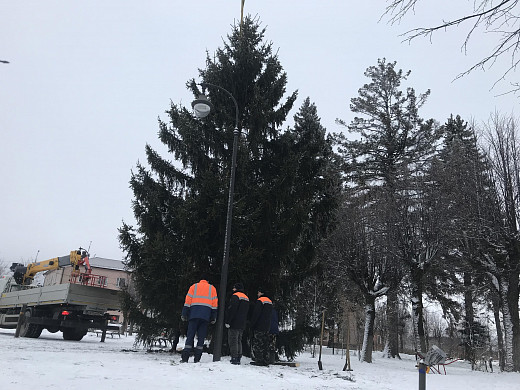 В Палехе установили 12-метровую новогоднюю ель