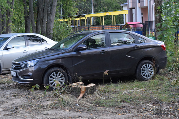 С начала года в Иванове снесли почти 200 аварийных и сухих деревьев