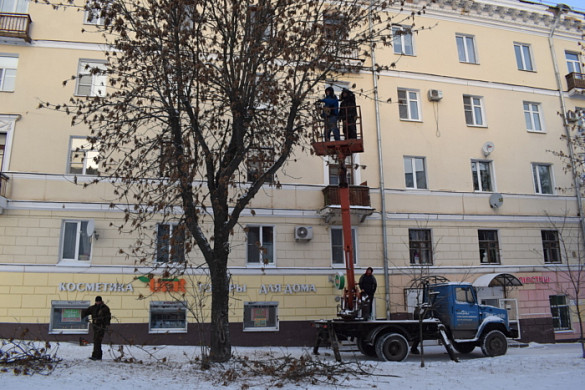 В Иванове начали обрезать деревья