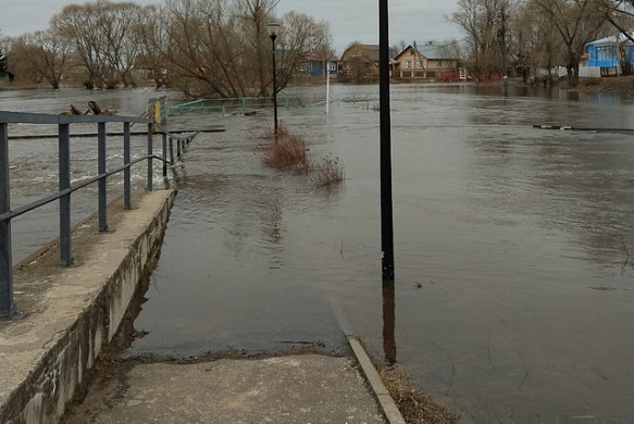 В Холуе под воду уходят приусадебные участки 