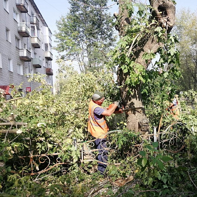 В Иванове на перекрестке  улиц 8 Марта и Калинина спилили аварийные деревья