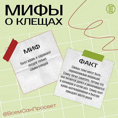 Укусы клещей в Ивановской области сходят на нет