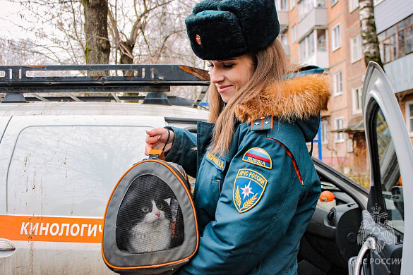 В Иванове сотрудница МЧС спасла домашних питомцев, потерявших хозяина