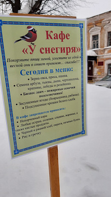  В Шуе открылось кафе для птиц 