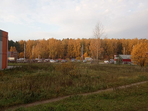 Пенсионерку из Суховки замуровали