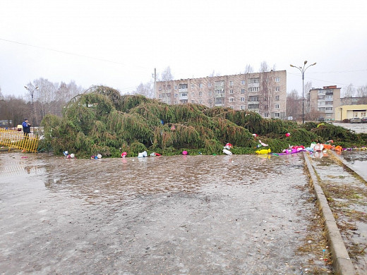  В Ивановской области снова сдуло новогоднюю елку 