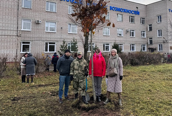  В октябре в Иванове появилось 18 новых деревьев 