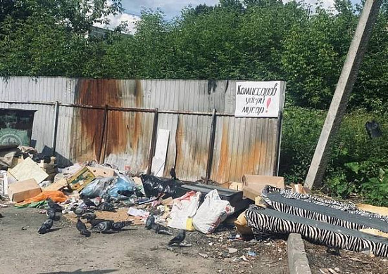  В Кохме на мусорных площадках развесили плакаты с призывами