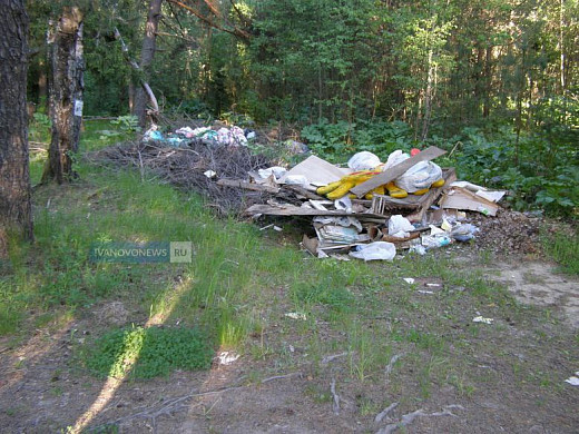 В Ивановском районе убрали свалку на землях лесного фонда