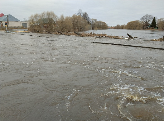 В Холуе под воду уходят приусадебные участки 