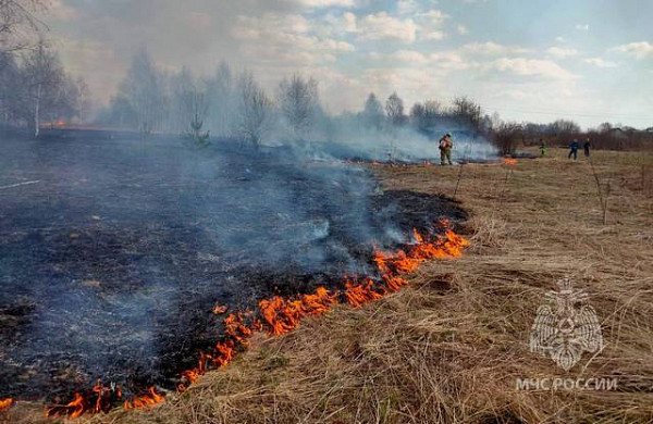 В Ивановской области из-за пала травы едва не сгорела целая деревня