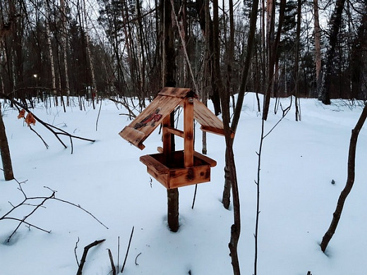  В парке Степанова появились «Дворянское гнездо», «Лесная хижина» и «Кедровая бочка» 