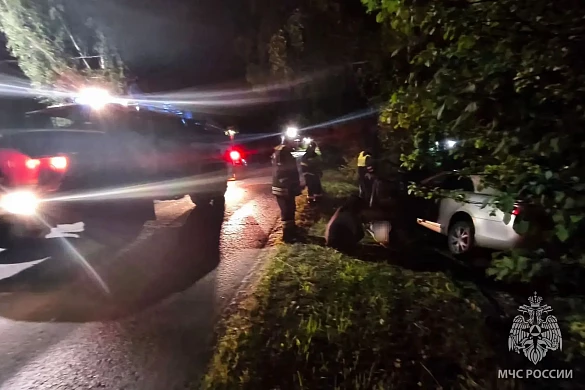 В Фурманове автомобиль врезался в дерево, пострадали двое 
