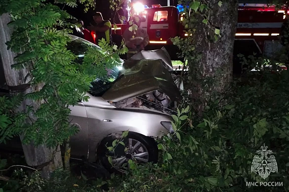 В Фурманове автомобиль врезался в дерево, пострадали двое 