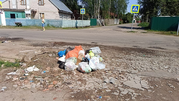 В местечке Лесное очередная мусорная реформа?