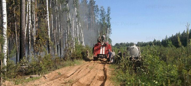  По факту лесного пожара в Лежневском районе возбуждено уголовное дело 