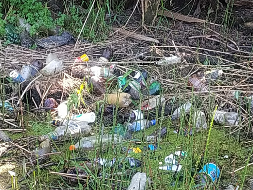  Водолазы обследовали почти 6 тысяч кв. м. пляжей в Ивановской области 