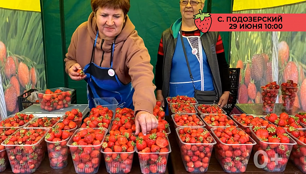 Ярмарка "Подозерская клубника" ждет гостей 29 июня