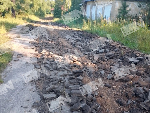 В Пучежском районе больше полугода не могут избавиться от бычков-нелегалов с лейкозом 