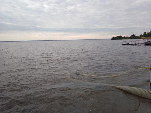  В Горьковское водохранилище выпустили молодь стерляди 