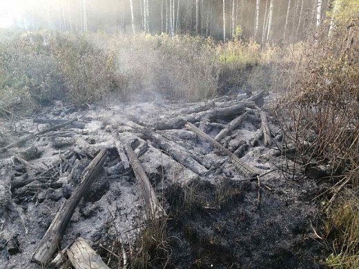 Количество лесных пожаров в Ивановской области выросло в 3 раза