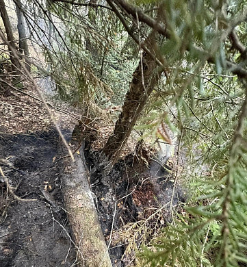 В Ивановском округе обнаружили очаг торфяного пожара