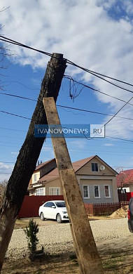 В Кохме засохшее дерево накренилось на 45 градусов и готово упасть на жителей