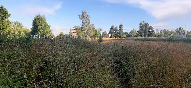 Стадион в Кохме превратился в некошеное поле с травой по пояс 