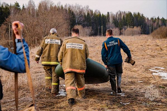 В Ивановской области пожарные спасли собаку, застрявшую на острове