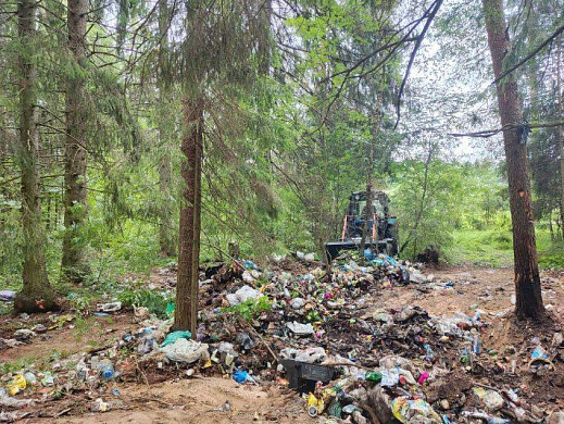 В Ивановской области убрали огромную свалку в лесу