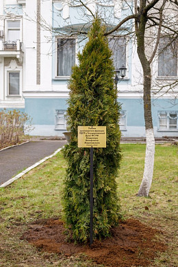 В память о Жириновском у ивановской облдумы посадили тую