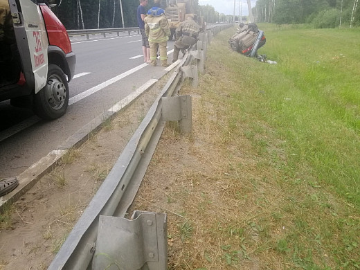 Женщина и собака погибли в жутком ДТП в Ивановской области