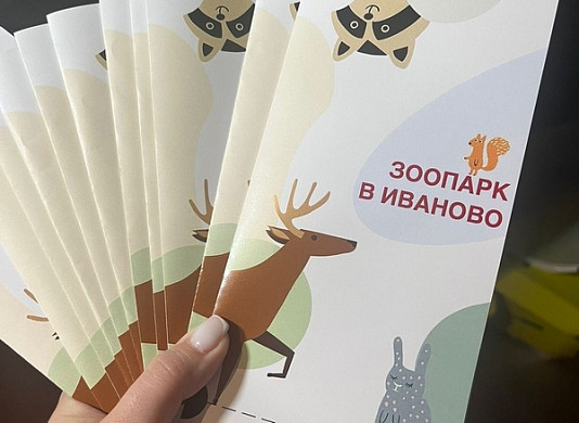 Молодой архитектор разработала проект зоосада в районе парка Степанова