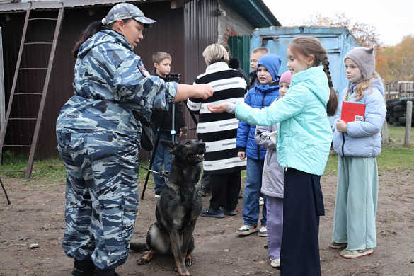 В Иванове маленьким журналистам показали буденновского жеребца