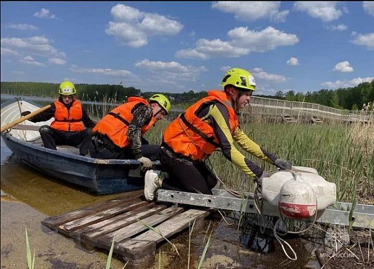  Школьники Ивановской области спасали застрявшего на дереве парашютиста 